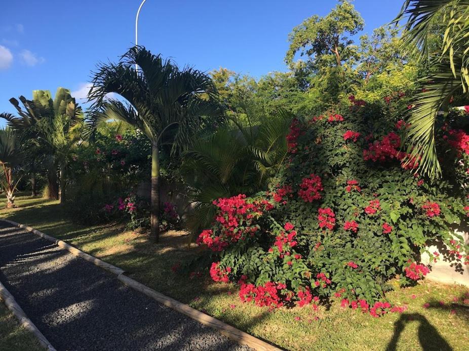 Villa La Belle Creole Saint-Francois  Exteriér fotografie